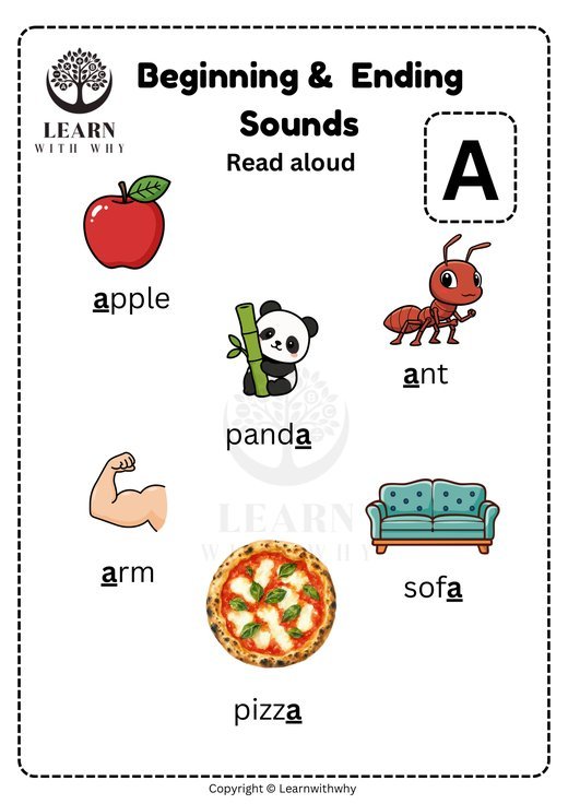 Letter A — beginning and ending sounds worksheet preview