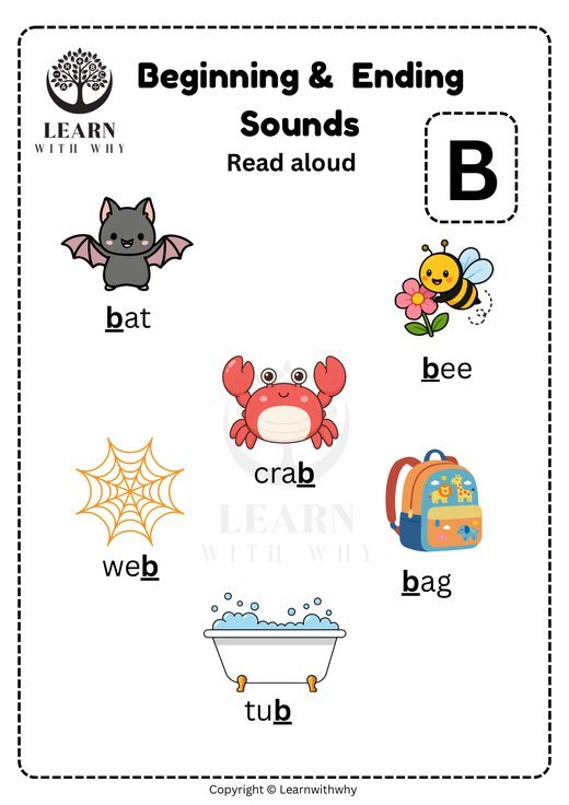 Letter B — beginning and ending sounds worksheet preview