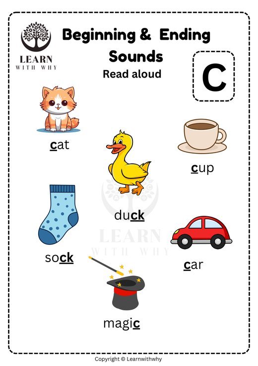 Letter C — beginning and ending sounds worksheet preview