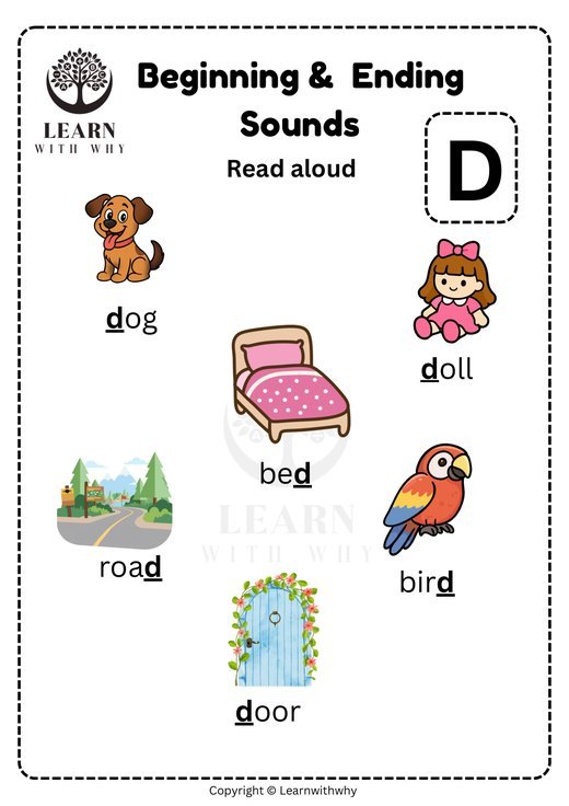 Letter D — beginning and ending sounds worksheet preview