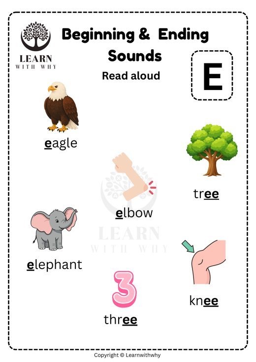Letter E — beginning and ending sounds worksheet preview