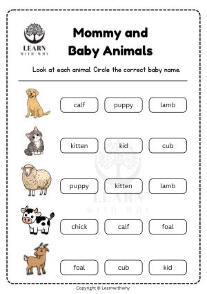 Animal Babies 2 — circle the baby name worksheet preview