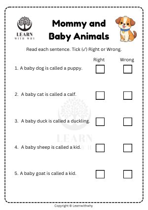 Animal Babies 5 — right or wrong? worksheet preview