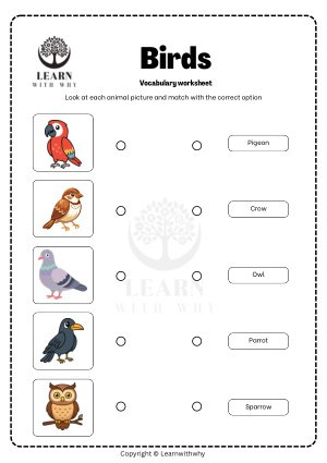 Animals 10 — match the birds worksheet preview