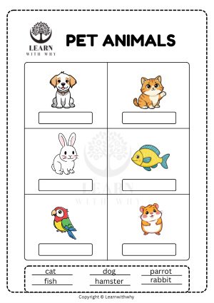 Animals 3 — name the pet animals worksheet preview