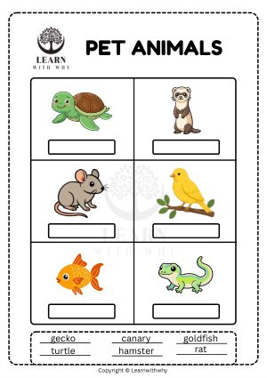 Animals 4 — more pet animals worksheet preview