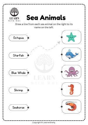 Animals 8 — match the sea animals worksheet preview