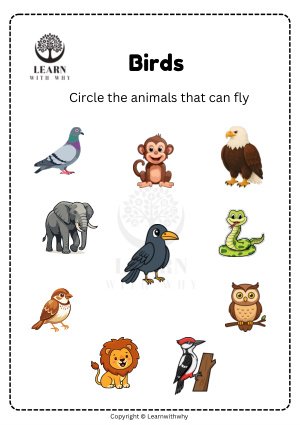 Animals 9 — animals that can fly worksheet preview
