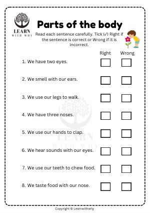 Body Parts 10 — right or wrong? worksheet preview