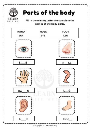Body Parts 7 — fill in the missing letters worksheet preview