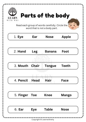 Body Parts 9 — which is not a body part? worksheet preview