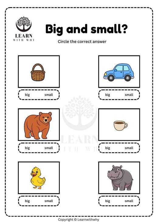 Sizes 10 — big or small? worksheet preview